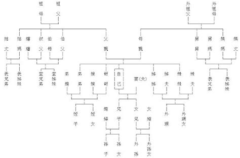 岑疏温黎 叔公算幾等親